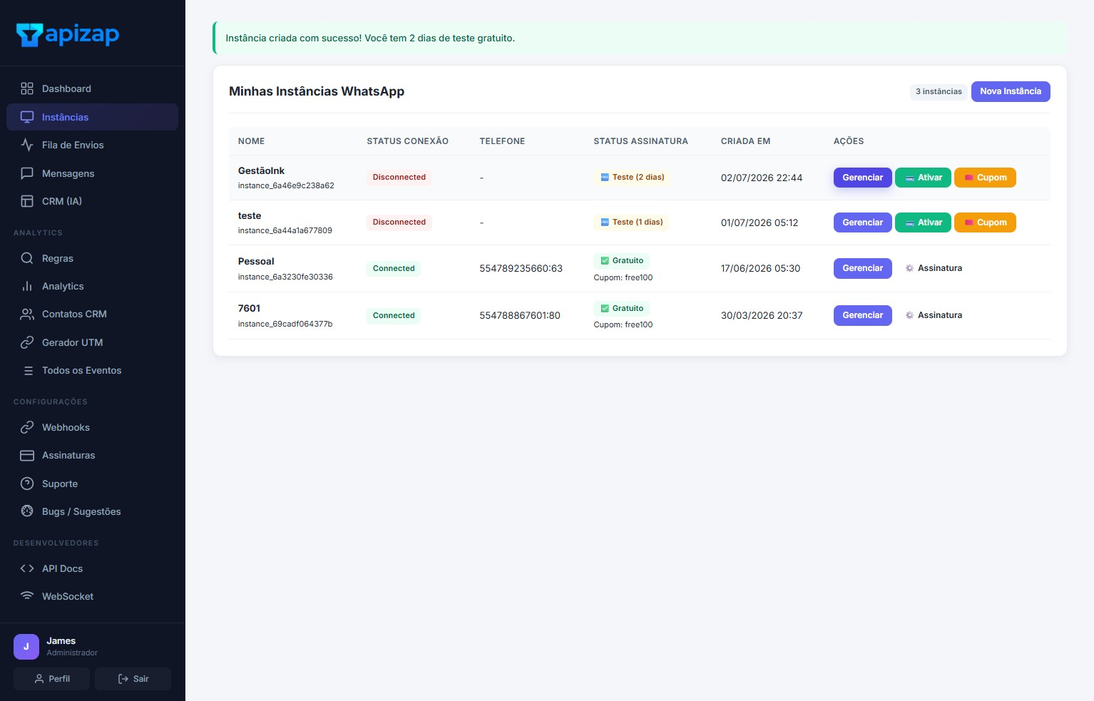Dados e configurações da instância na APIZAP