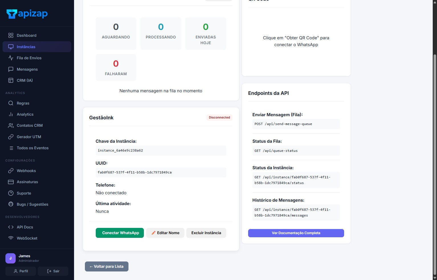 Copiando token e instance key na APIZAP