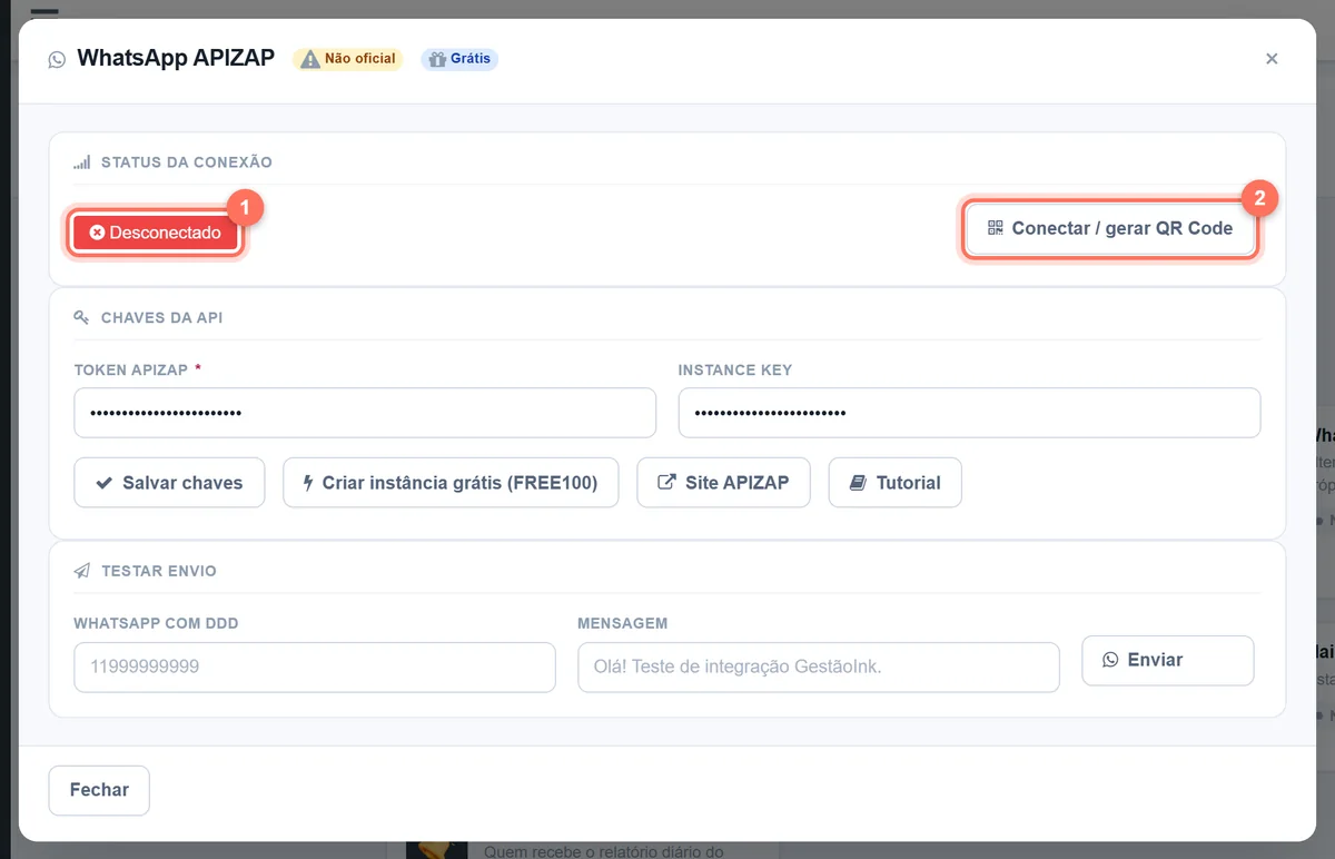 Janela WhatsApp APIZAP com o status Desconectado e o botão Conectar / gerar QR Code destacados; token e instance key ocultos