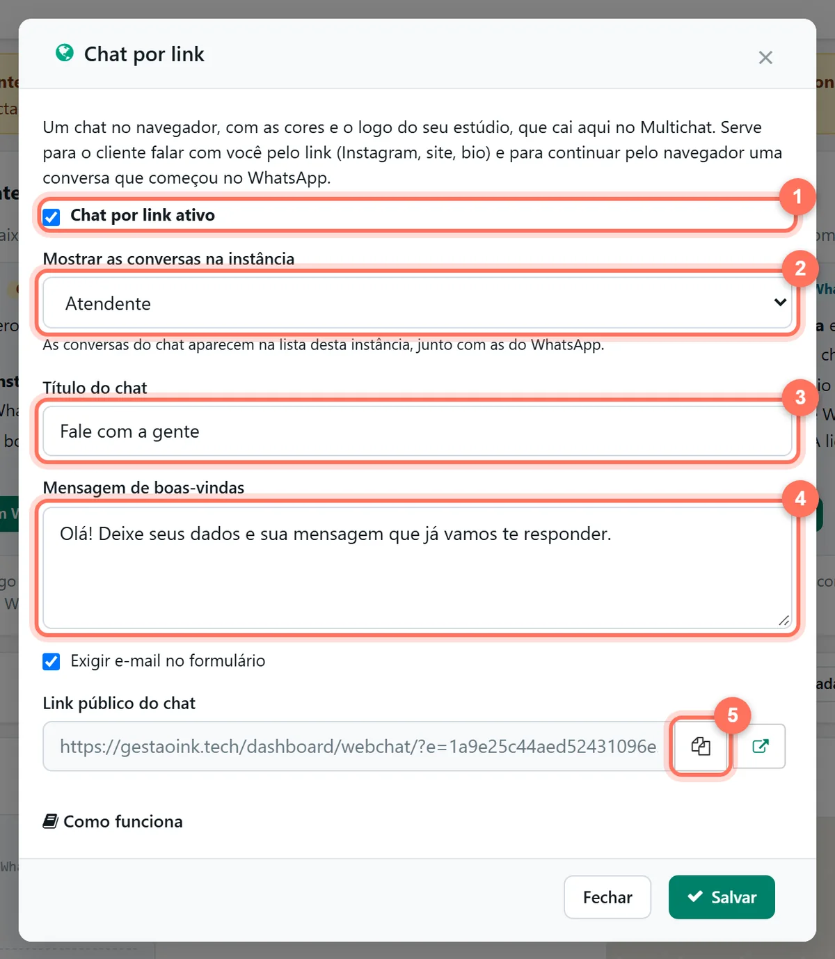 Janela Chat por link com as opções chat ativo, instância, título, mensagem de boas-vindas e o botão de copiar o link público numerados de 1 a 5